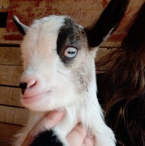 Meet your Posher, Mariah